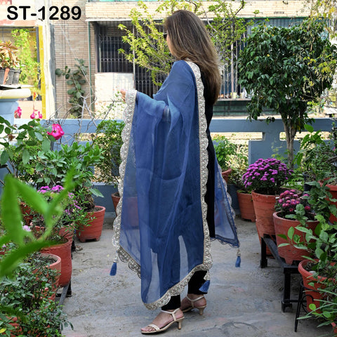 Blue Hand Embroidery Silk Organza Dupatta Light Weight Indian Bridal Wedding Chunni Veil Scarf Women Dress Gift Wife, Sister