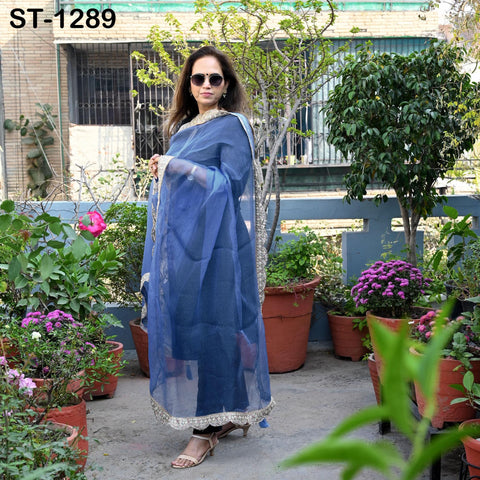 Blue Hand Embroidery Silk Organza Dupatta Light Weight Indian Bridal Wedding Chunni Veil Scarf Women Dress Gift Wife, Sister