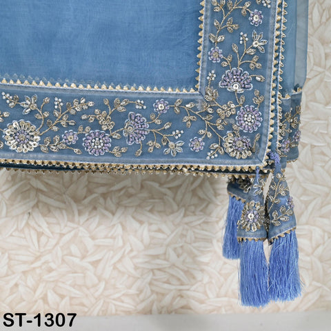 Sky Blue Dupatta Hand Embroidery Silk Organza Dupatta Lightweight Indian Bridal Wedding Lehenga Women Chunni Veil Scarf Dress Gift Mom