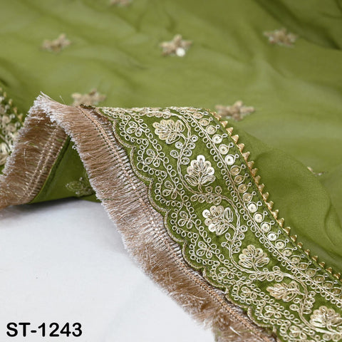 a close-up view of a green fabric with intricate gold embroidery and fringe details. The fabric appears to be a piece of clothing or textile, with the gold embroidery and fringe adding a decorative and ornate touch to the design.