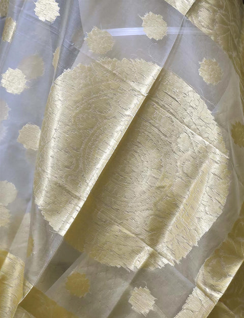 Banarasi Silk Brocade Dupatta, Ethnic Motifs Woven Design Dupatta with Zari, Handmade Brocade Scarves
