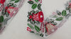 Embroidery Ribbons, Indian Sari Border Trim | 5cm, Red Green Embroidered On White Viscose Dupioni, 1 Meter