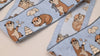 Sari Border Trim, Embroidered Otter Ribbon | Viscose Fabric, Beige Brown Grey Blue | 75mm Wide, 1 Meter